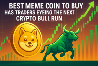 بهترین سکه Meme برای خرید ، معامله گرانی است که در حال اجرا Bull Bull Crypto هستند